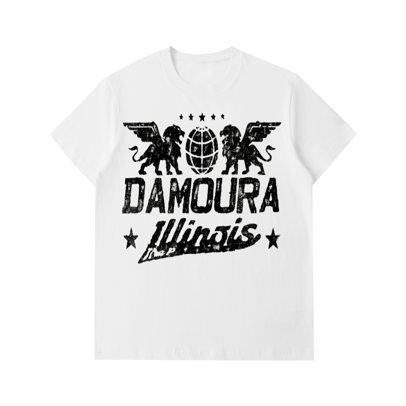Heavyweight "THE P, ILLINOIS"  T-Shirt