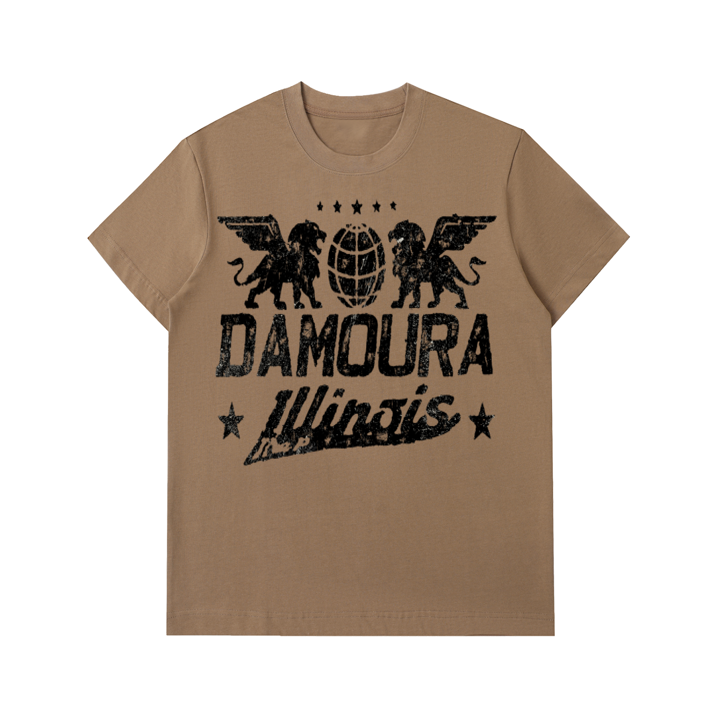 Heavyweight "THE P, ILLINOIS"  T-Shirt