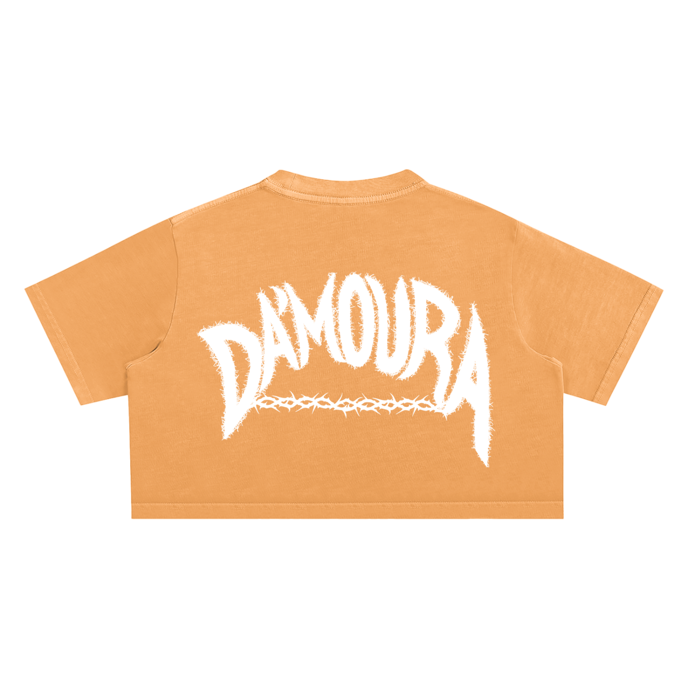 Snow Washed “ MOMO” Crop Top