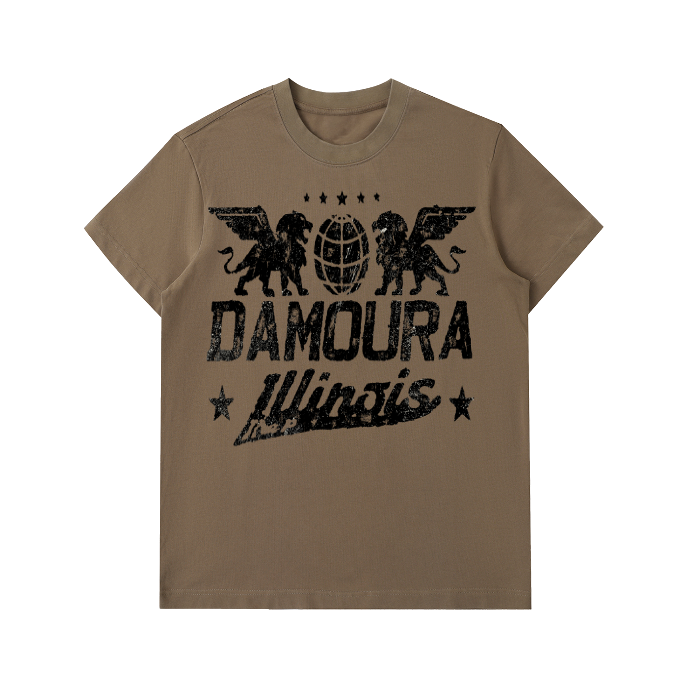 Heavyweight "THE P, ILLINOIS"  T-Shirt